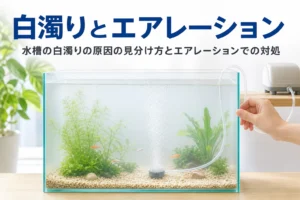 少し白っぽい立ち上げ中の水槽とエアストーンの泡と、水槽の白濁りとエアレーションを紹介する記事タイトル