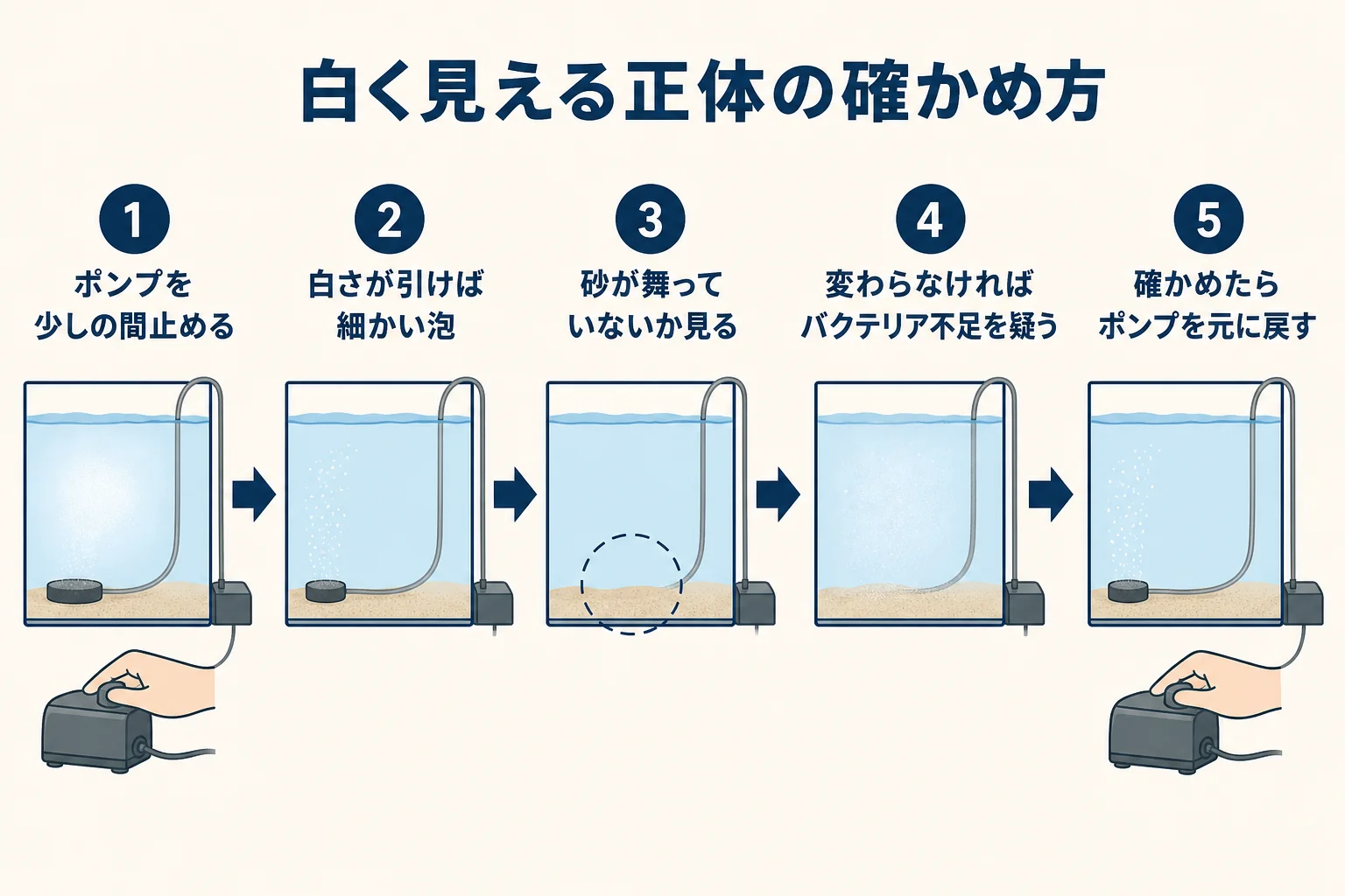 エアレーションを強くした後の白さが泡か砂かバクテリア不足かを確かめる手順の図解