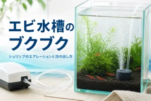 赤いシュリンプが泳ぐ小型水槽と、隅で細かい泡を出すスポンジフィルター