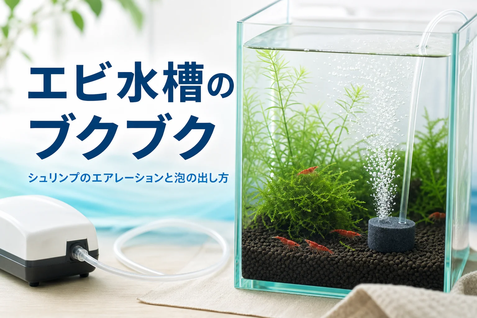 赤いシュリンプが泳ぐ小型水槽と、隅で細かい泡を出すスポンジフィルター