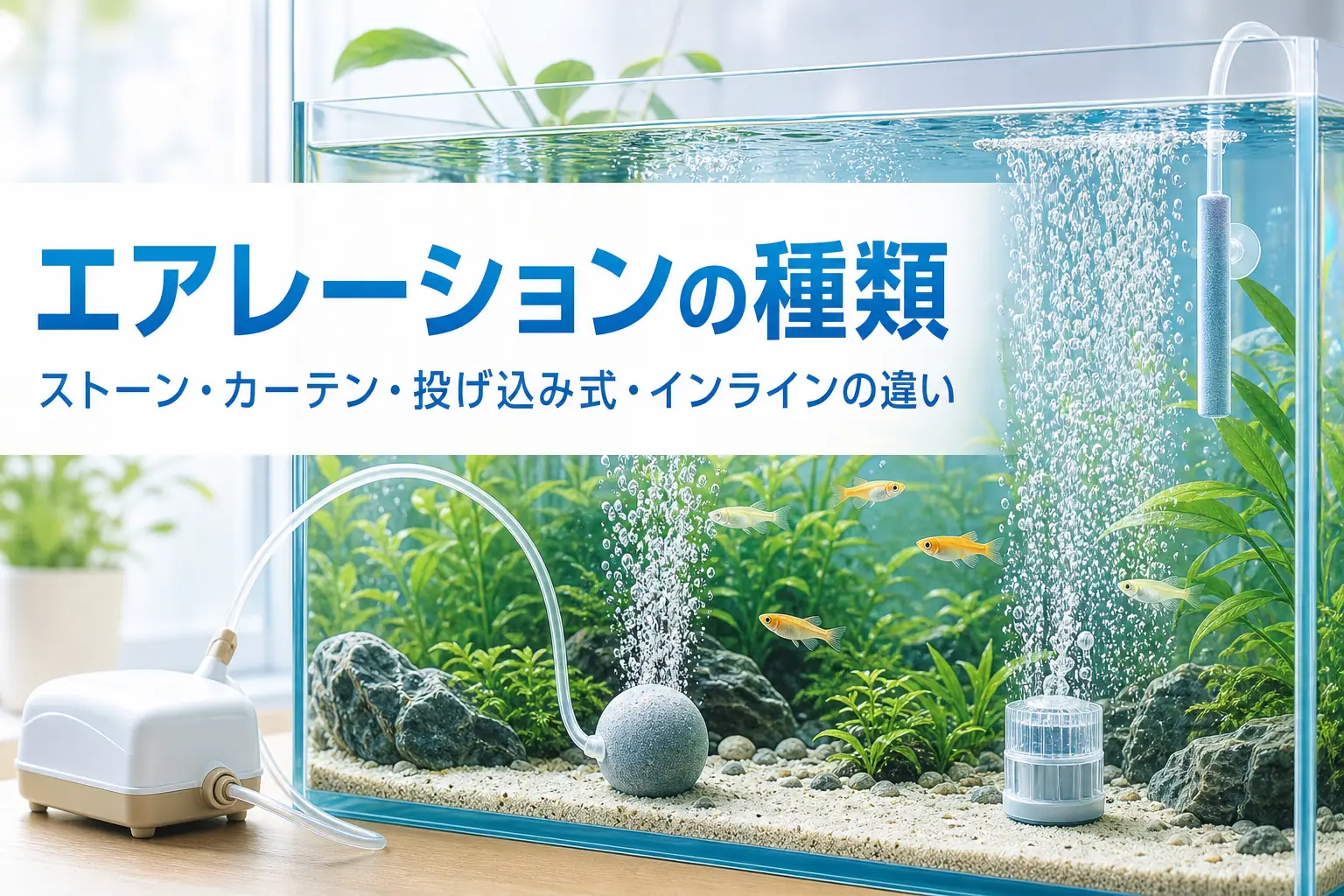 いくつかの種類のエアレーションから泡が立つ水槽と、エアレーションの種類を紹介する記事タイトル