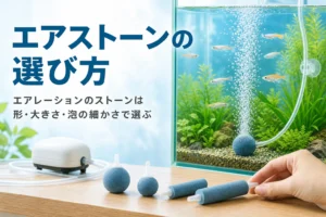 水槽の底のエアストーンから細かい泡が立ちのぼる様子と、形の違うストーンが並んだ記事タイトル画像
