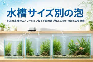 大きさの違う3つの水槽でエアストーンから泡が立つ様子と、水槽サイズ別のエアレーションを紹介する記事タイトル