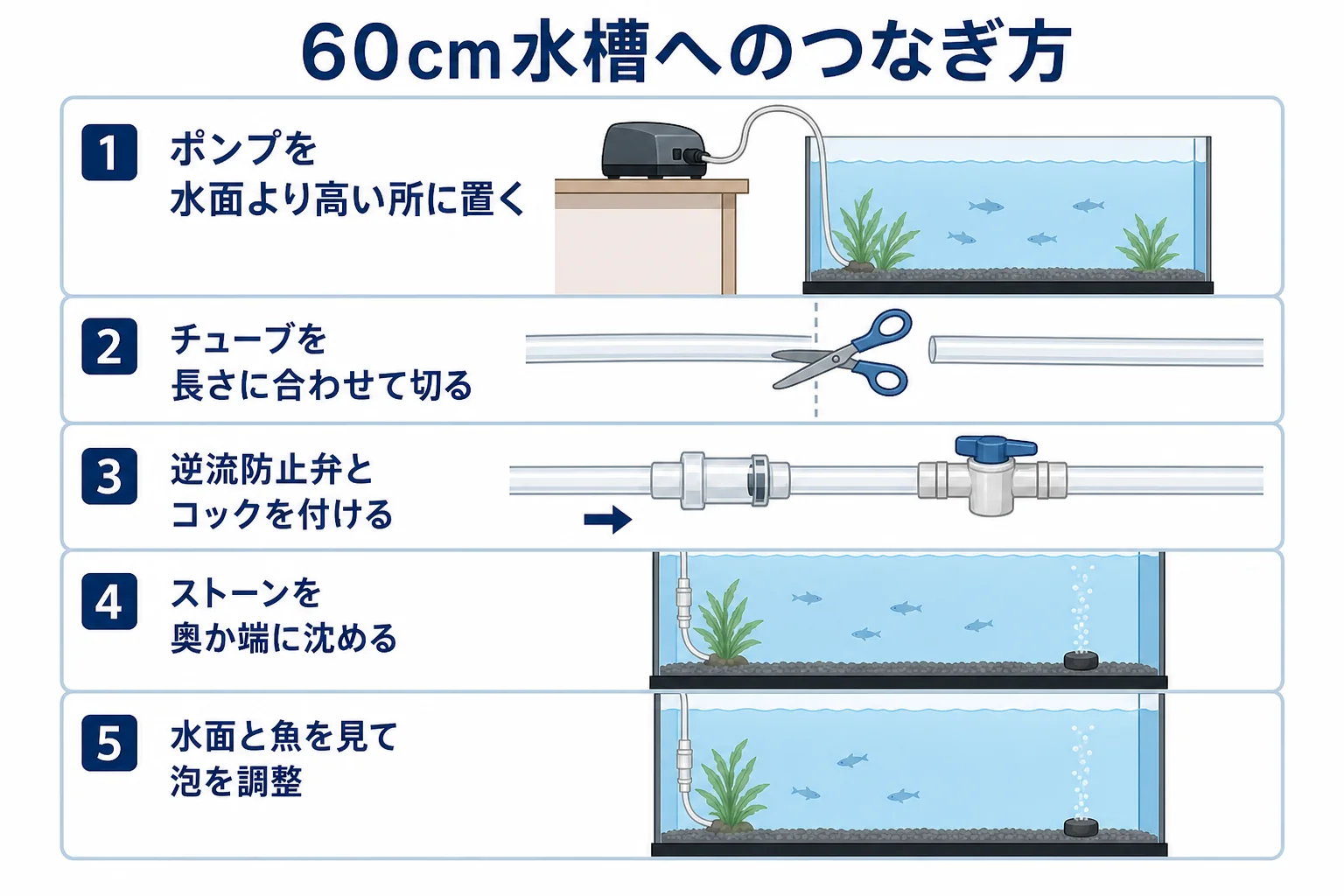 60cm水槽にエアーポンプからストーンまでつなぐ手順の流れの図解