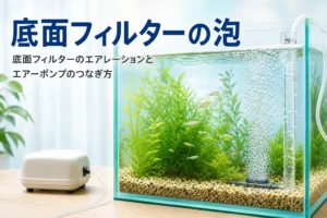 砂利を敷いた水槽の揚水パイプから泡が出ている様子、底面フィルターのエアレーションを解説する記事タイトル
