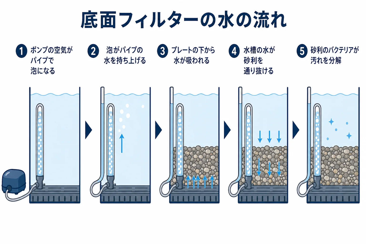 底面フィルターで、水が砂利を通ってプレートの下からパイプへ吸い上げられる流れを示した図解