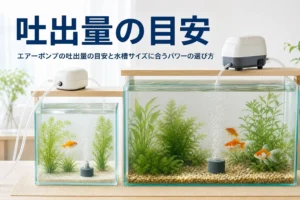 大きさの違う水槽とエアーポンプが並ぶ様子と、エアーポンプの吐出量の目安を紹介する記事タイトル