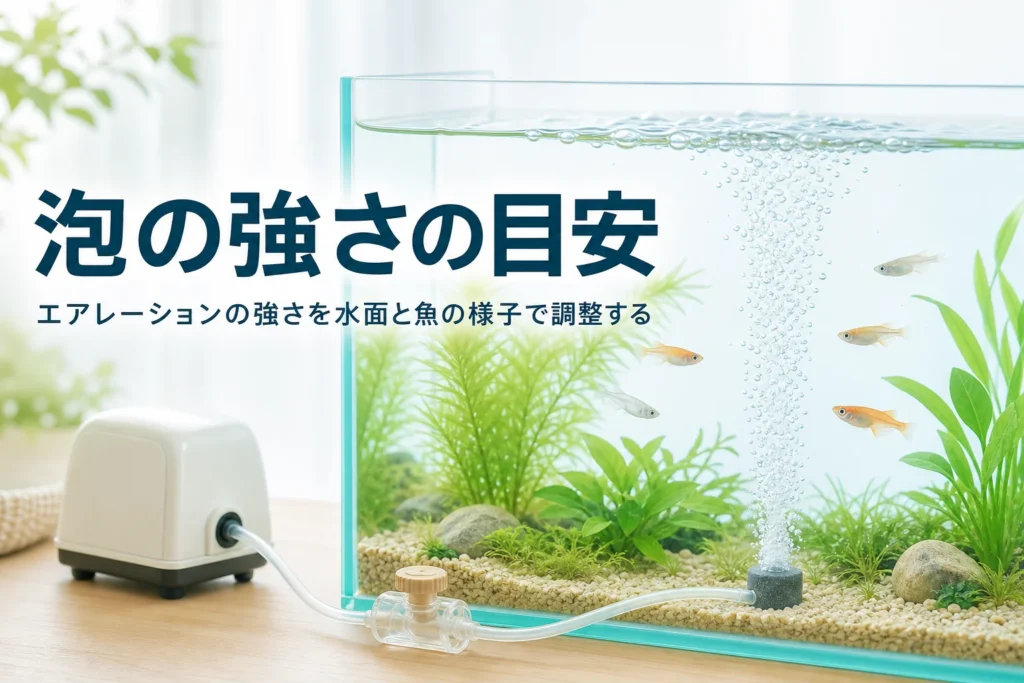 ほどよい泡が立つ水槽とエアーポンプ、調整バルブ