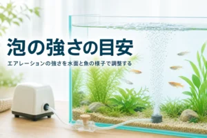 ほどよい泡が立つ水槽とエアーポンプ、調整バルブ