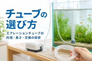 エアーポンプから水槽のエアストーンへつながるエアーチューブと、エアレーションチューブの選び方を紹介する記事タイトル