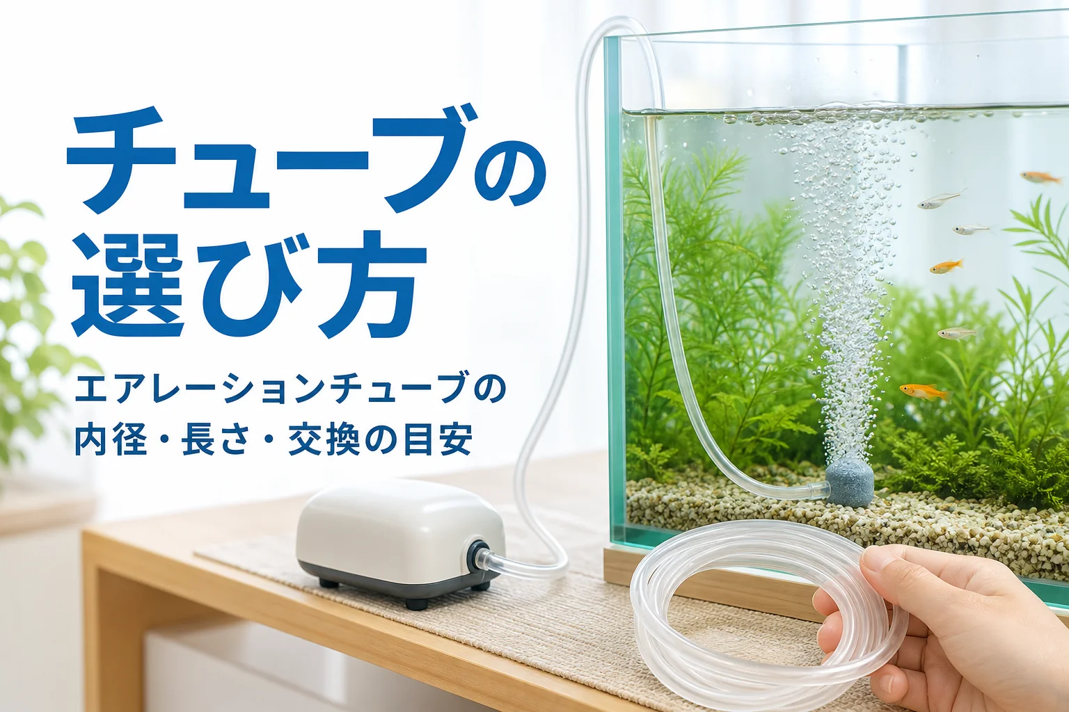 エアーポンプから水槽のエアストーンへつながるエアーチューブと、エアレーションチューブの選び方を紹介する記事タイトル