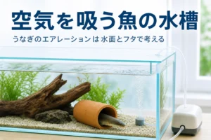 隠れ家から顔を出す細長い魚と、フタの下に空気の層を残した水槽