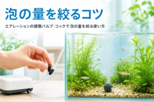 エアーチューブの途中の調整バルブを手で回して泡を弱める様子と、エアレーションの調整バルブを紹介する記事タイトル