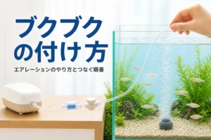 棚の上のエアーポンプからチューブで水槽のエアストーンにつないだ様子と、エアレーションのやり方を紹介する記事タイトル