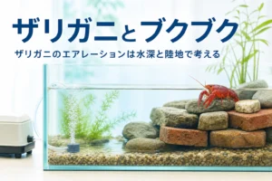 浅い水と石の陸地がある水槽で休むザリガニと、端から少し泡が上がるエアストーン